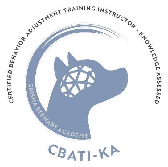 251078 custom site themes id xuvjc0c2tc2w36dck3lo cbati ka cert programcover image