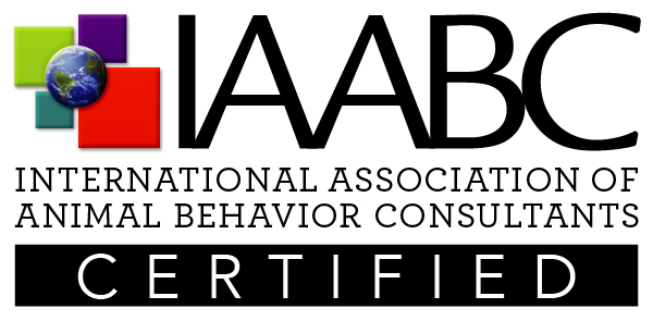 iaabc web certified