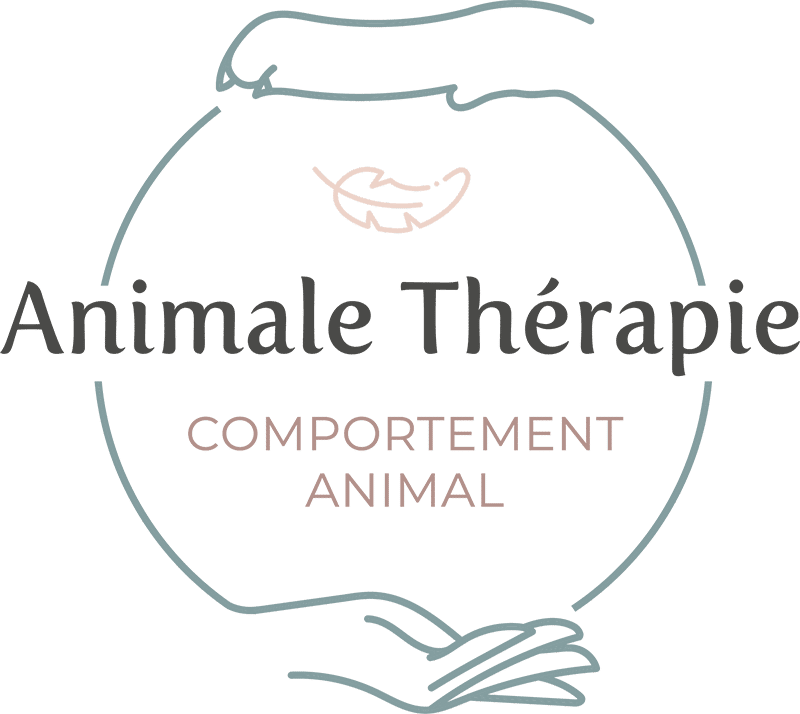 logo animale therapie principal accompagnement animalier