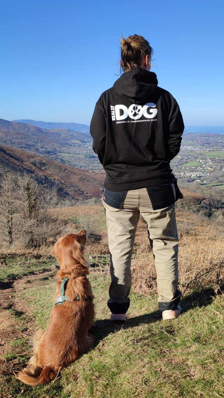 really dog comportementaliste canin 40 64 lien humain chien