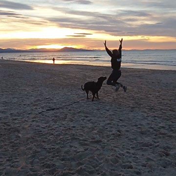 really dog comportementaliste canin 40 64