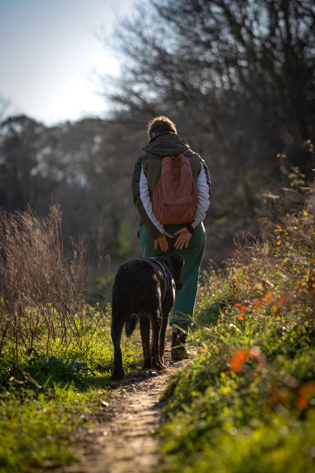 really dog comportementaliste canin pays basque landes 2