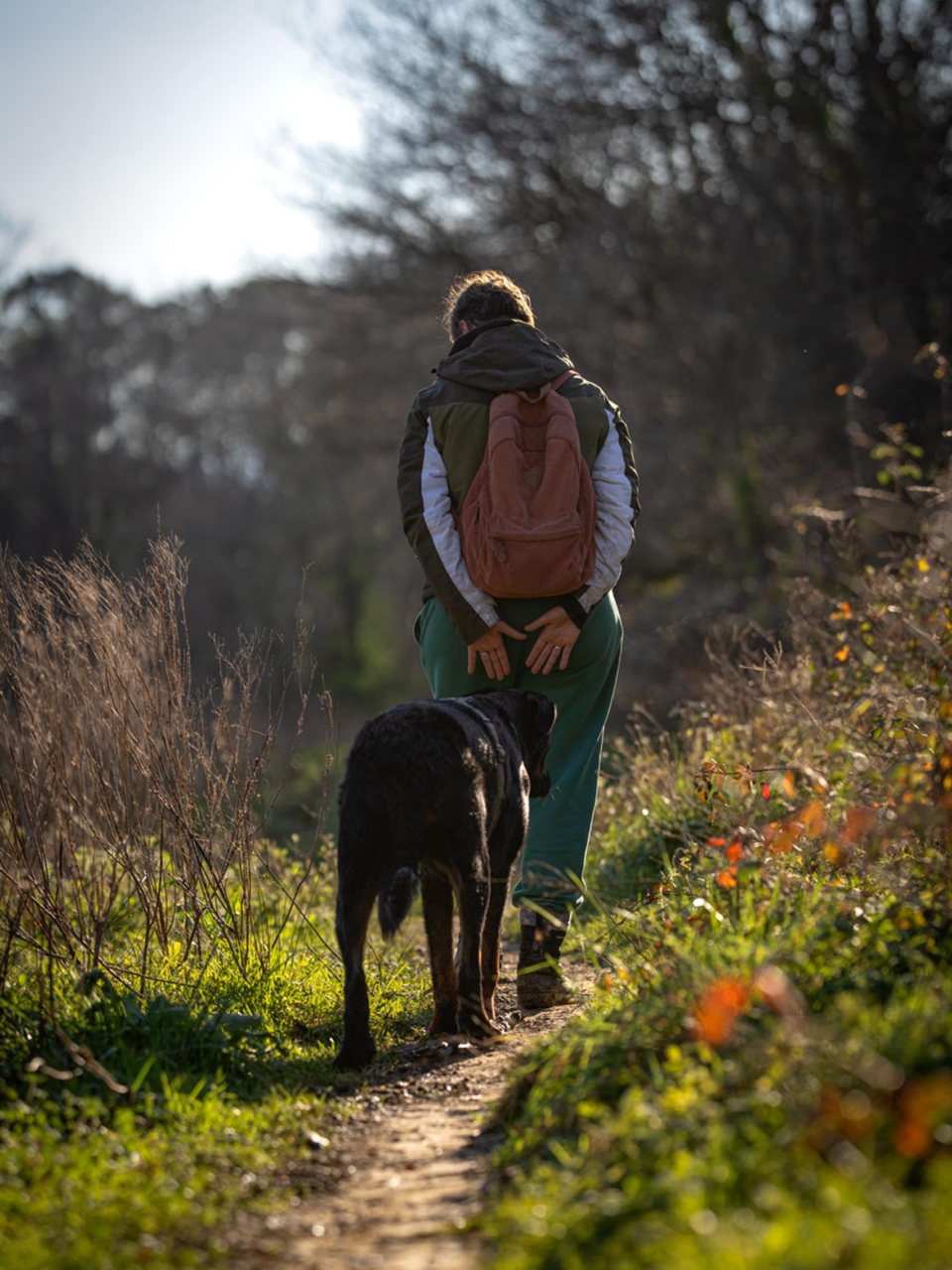really dog comportementaliste canin pays basque landes 2