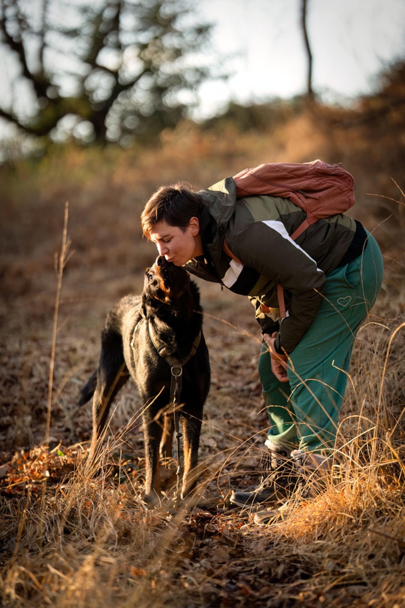 really dog comportementaliste canin pays basque landes 7