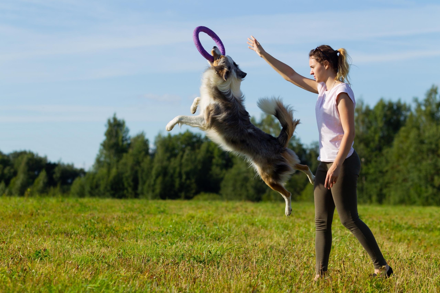 really dog comportementaliste canin pays basque landes fitness
