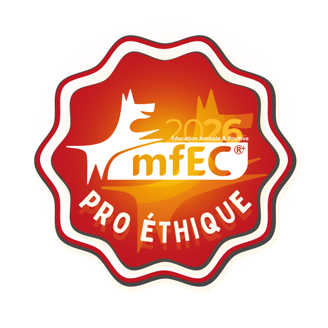 macaron pro ethique mfec